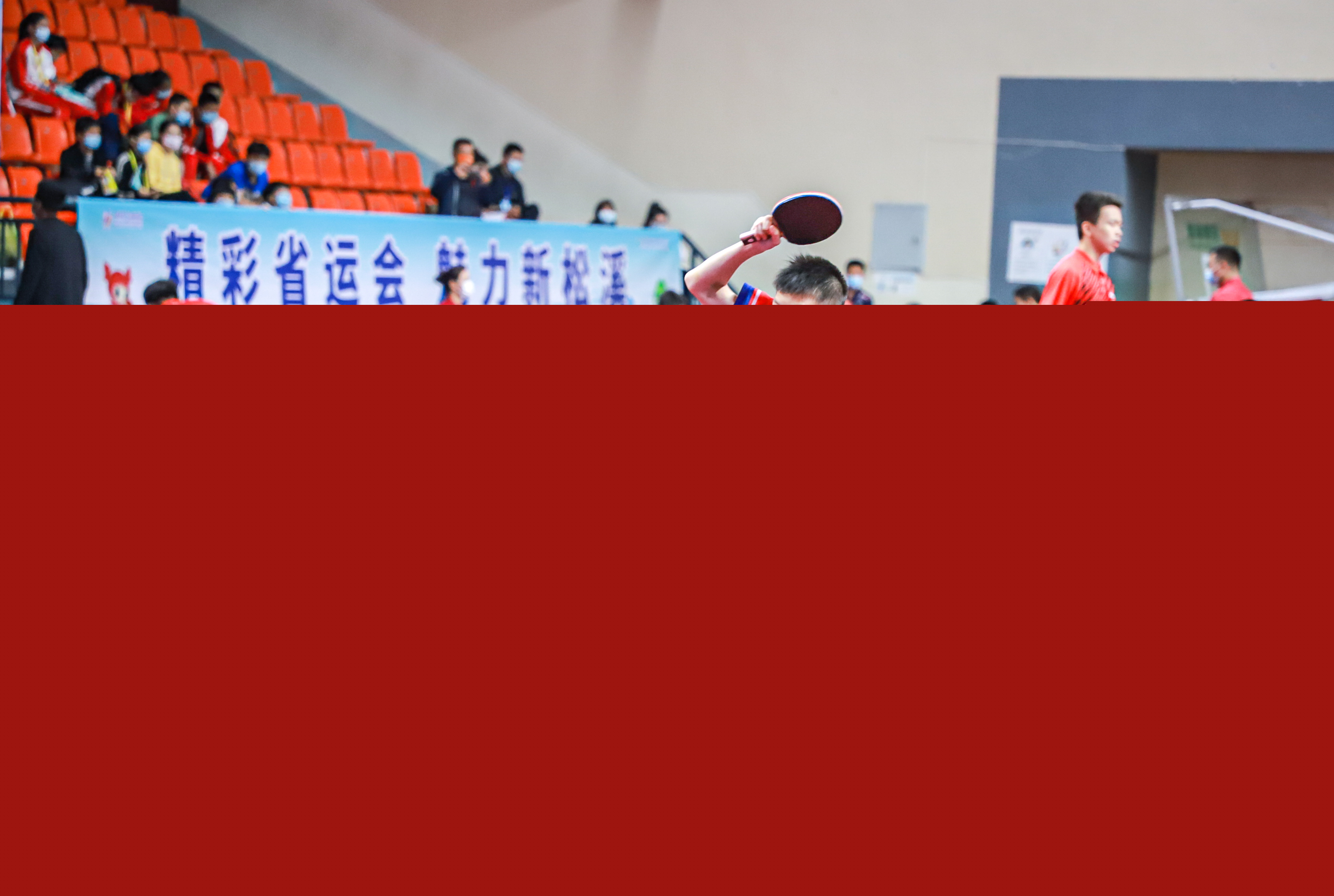 奥地利公开 奥地利公开